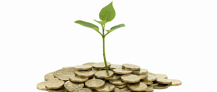 5 راه‌کار برای تقویت توکل در کسب‌وکار